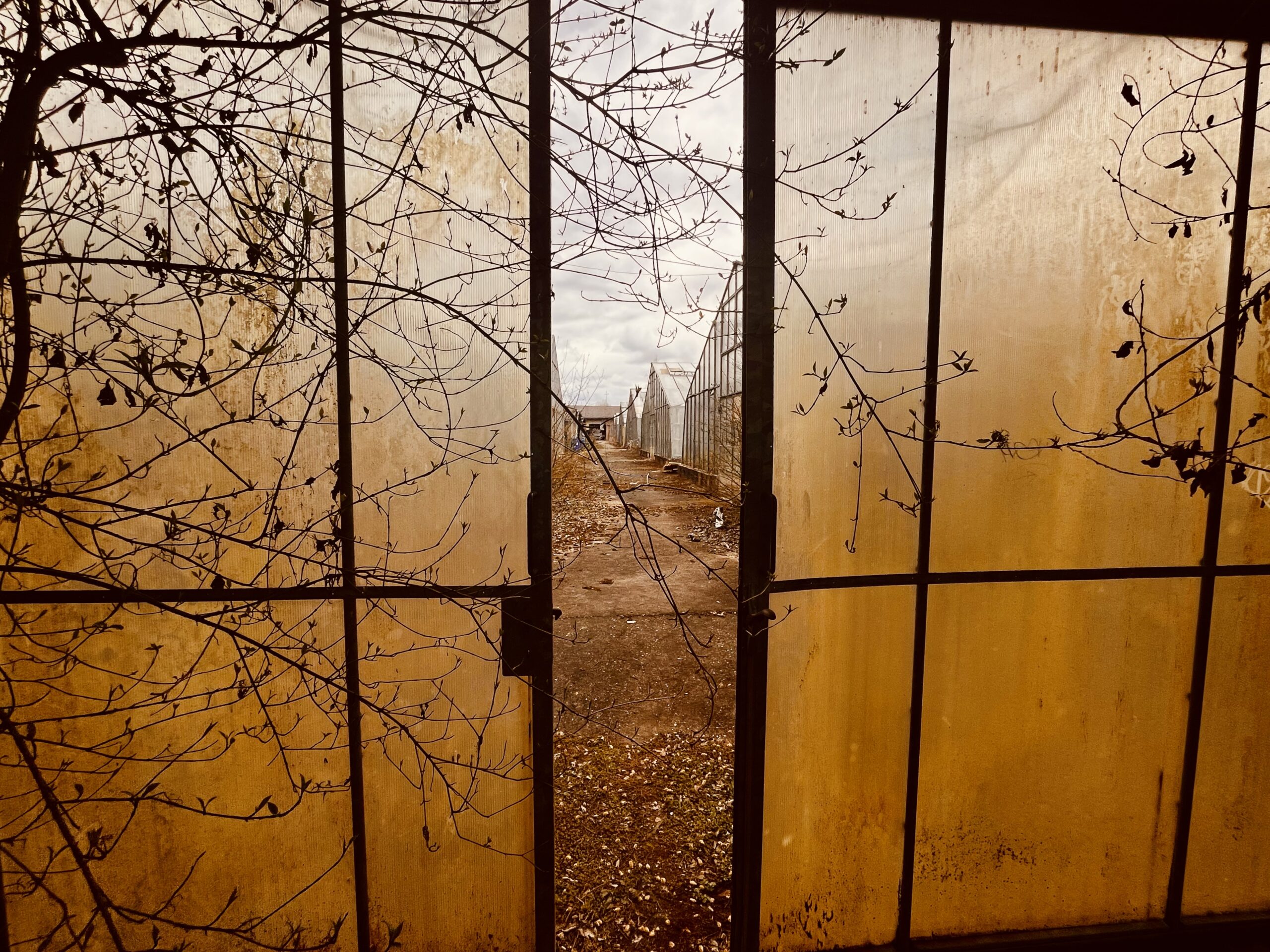 Mood_Gärtnerei_Frieda