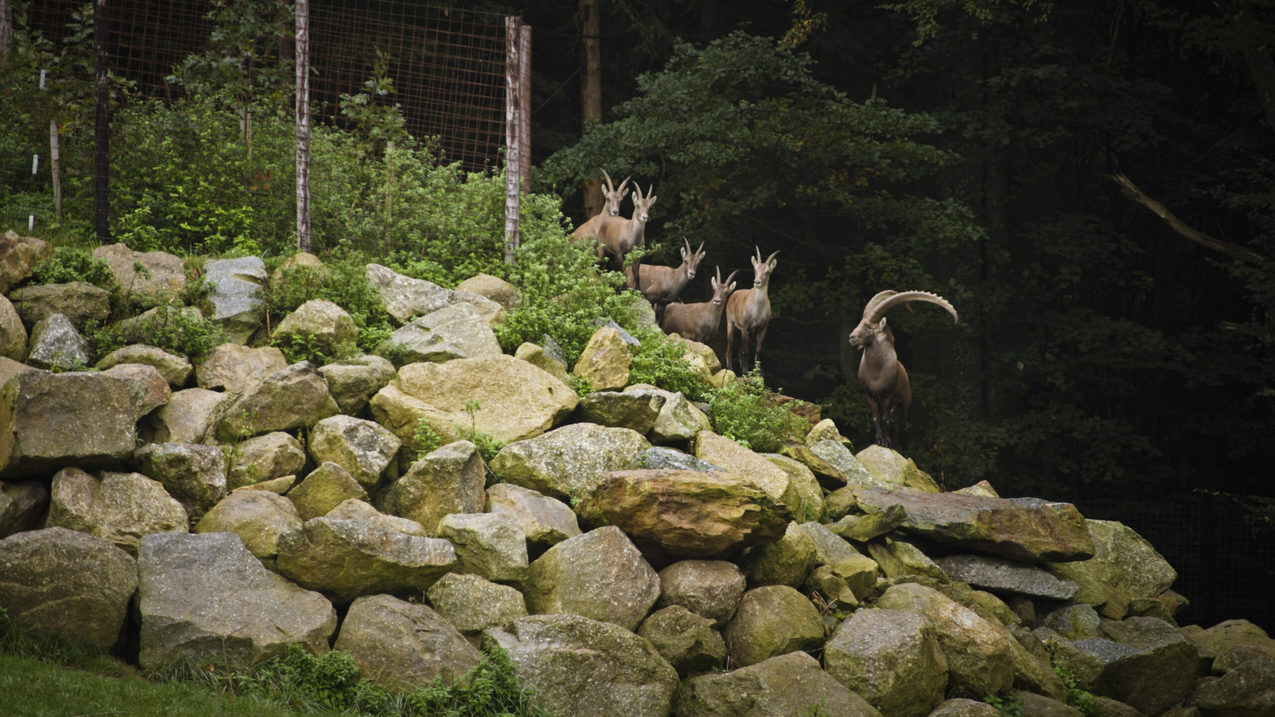 Familie Toifl in Gallien während ServusTVs "Heimatleuchten - Aus der Reihe Tanzen" in Gallien, Pernegg, Niederösterreich, Österreich am 09. Mai 2024
