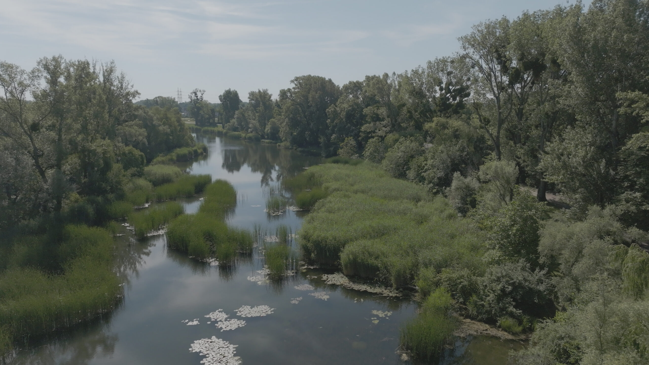 SEENLAND_WIEN_PF_12_Donauauen