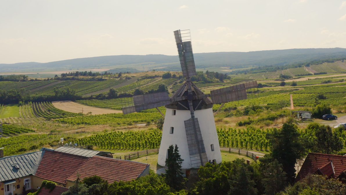 Filme_HL_Weinviertel_1 Filme_HL_Weinviertel_1